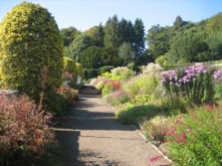 Border in the formal garden at Craigside, Northumbria, alive with pollinators in late September